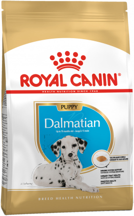 Dálmata cachorro